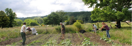 Working the vegetable plot Kotare Village