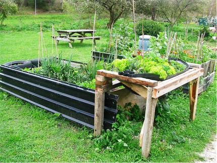 Wheelchair Friendly and High Raised Beds for the Disabled  at Waimarama Community Gardens, Nelson, New Zealand