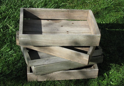 7cm (2¾in) deep Wooden Seed Trays
