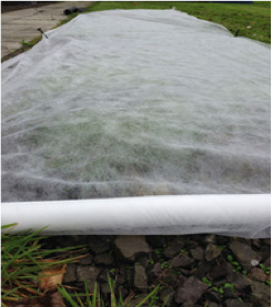 FROST FLEECE COVERING A BED