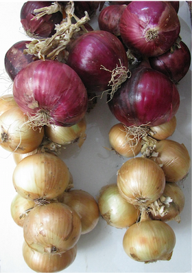 Red & White Onions strung