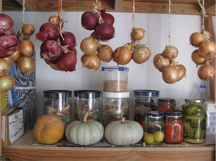 Food in Store – Squash, Dried Pears & Apples, Bottled & Pickled Fruit, Onions & Corn