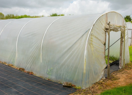 A large plastic growing tunnel