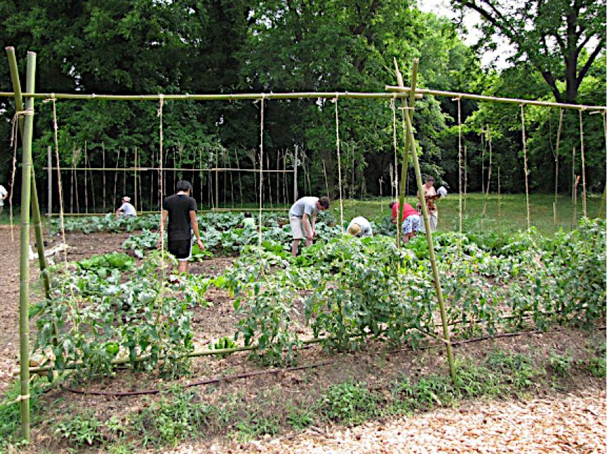 A Community Garden at work